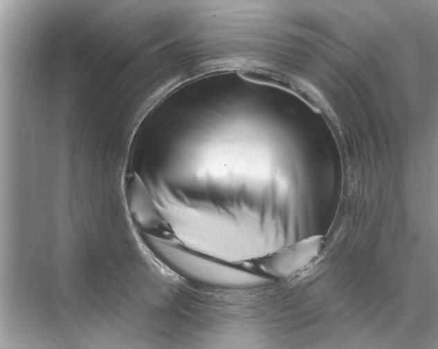 X0000073840946200608311931