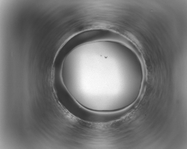 X0000073840948200608311931