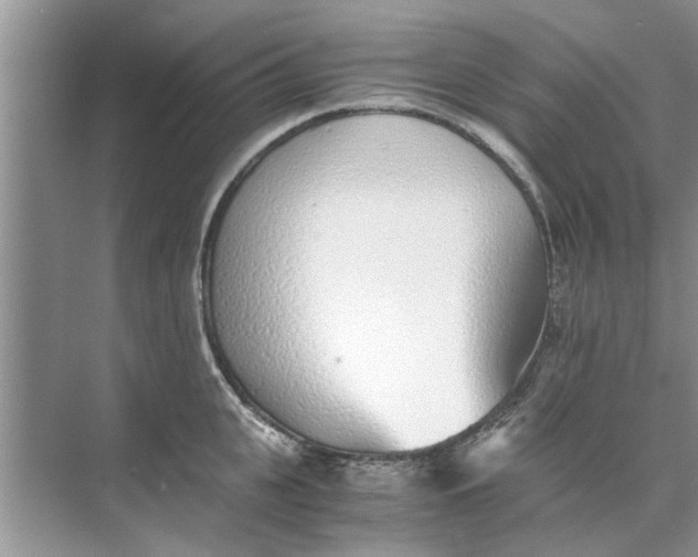 X0000073840951200608311931