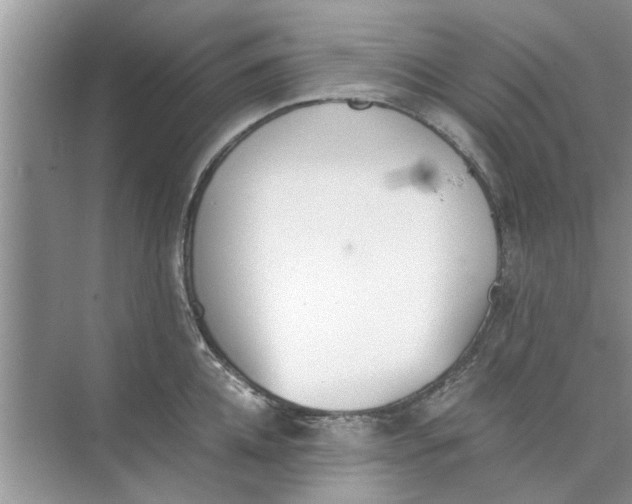 X0000073840952200608311931