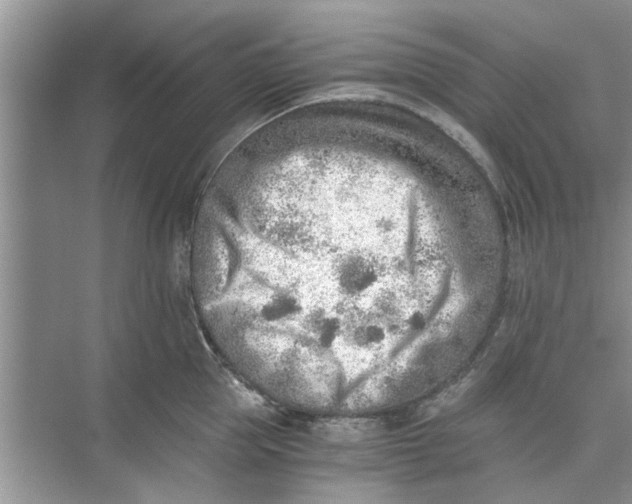 X0000073840953200608311931