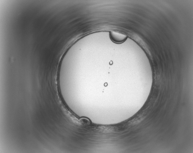 X0000073840954200608311931