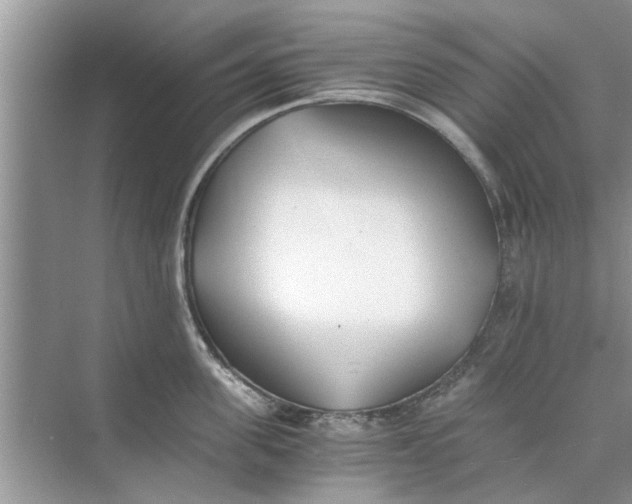 X0000073840955200608311931