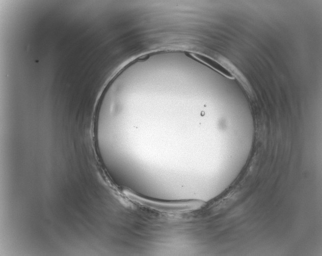 X0000073840956200608311931