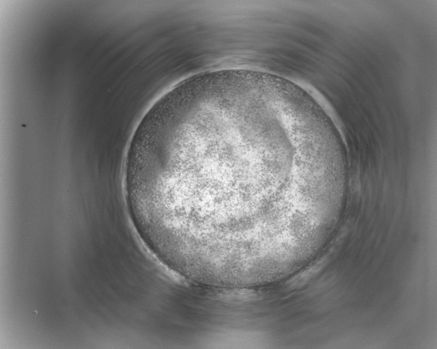 X0000073840957200608311931