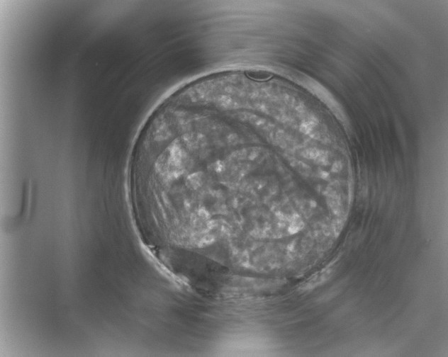 X0000073840958200608311931