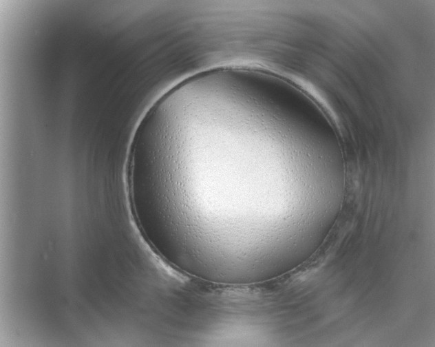 X0000073840959200608311931