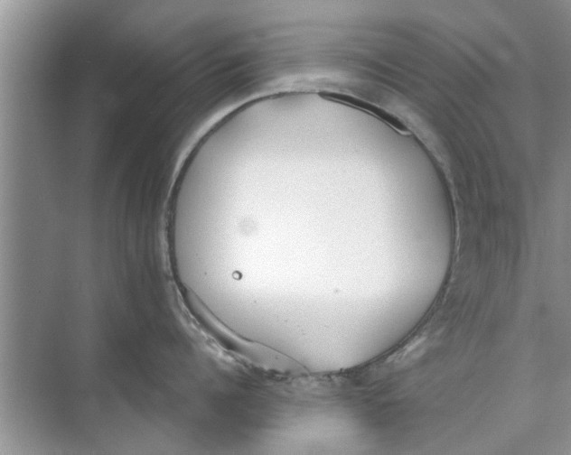 X0000073840960200608311931