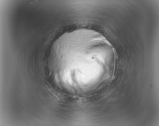 X0000073840961200608311930