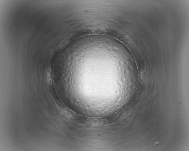 X0000073840963200608311930