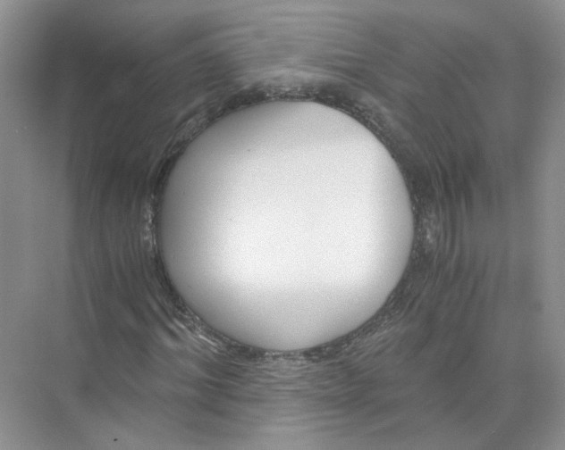 X0000073840964200608311930