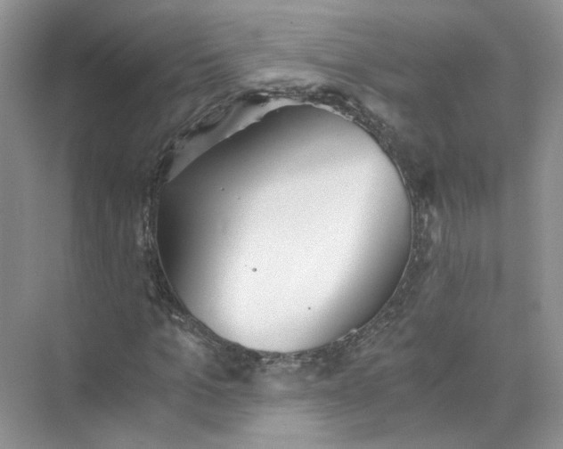 X0000073840965200608311930