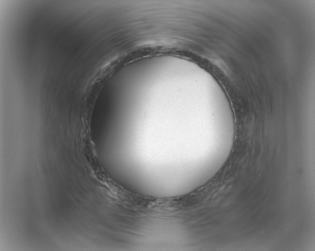 X0000073840967200608311930