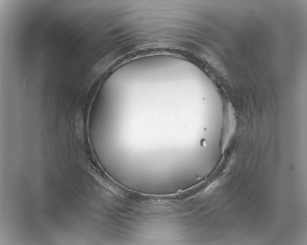 X0000073840969200608311930