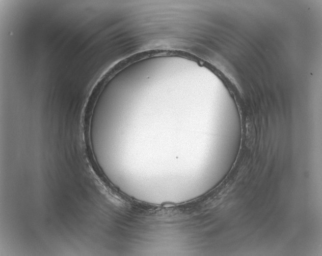 X0000073840972200608311930