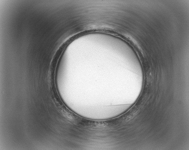 X0000073840975200608311930