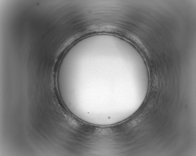 X0000073840978200608311930