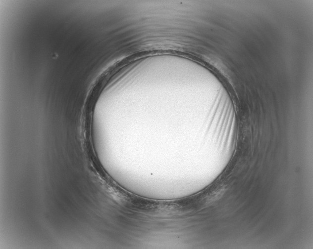 X0000073840979200608311930