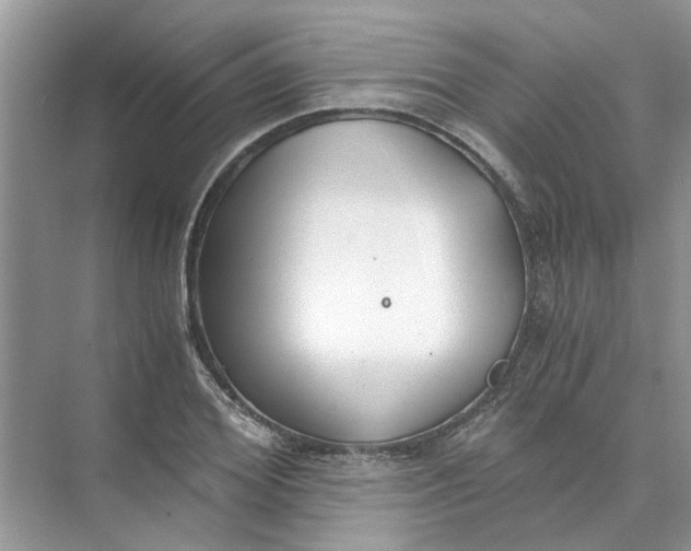 X0000073840980200608311930