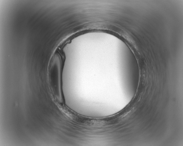 X0000073840981200608311930