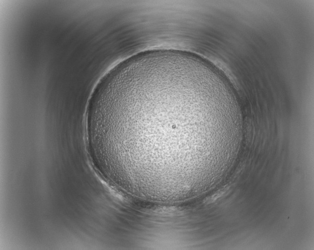 X0000073840982200608311930