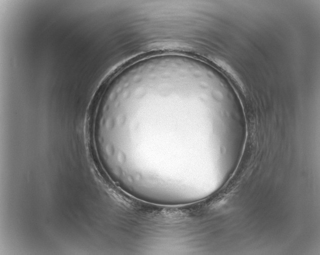 X0000073840983200608311930