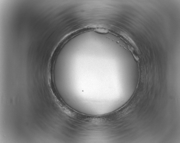 X0000073840984200608311930