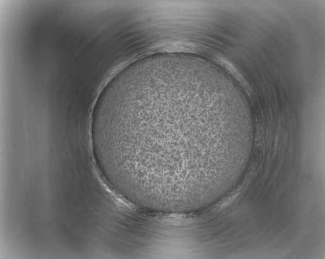 X0000073840986200608311930