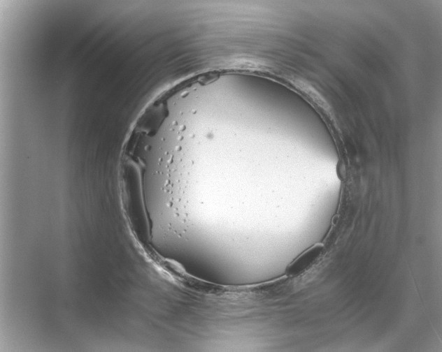 X0000073840989200608311930