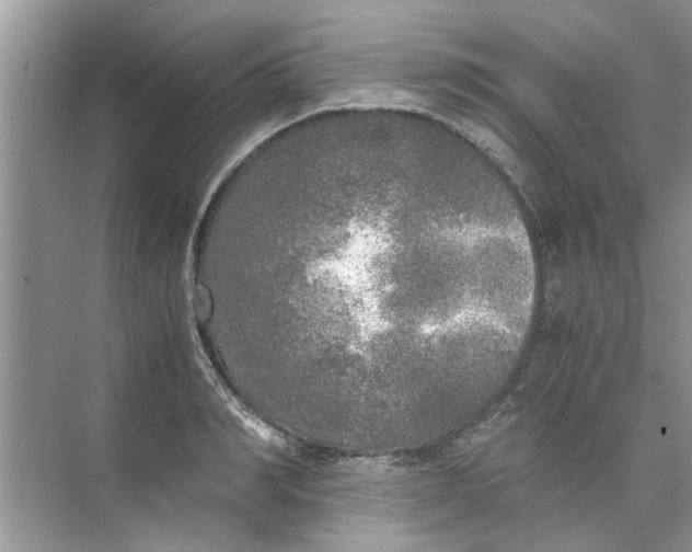 X0000073840990200608311930