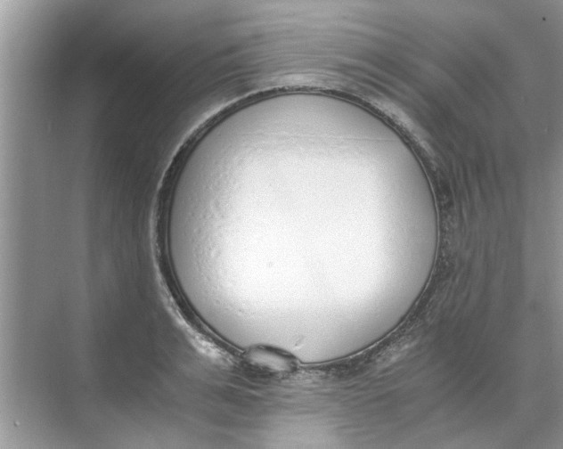 X0000073840991200608311930