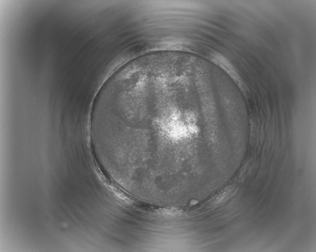 X0000073840994200608311930