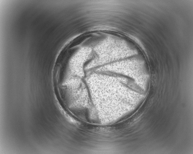 X0000073840995200608311930