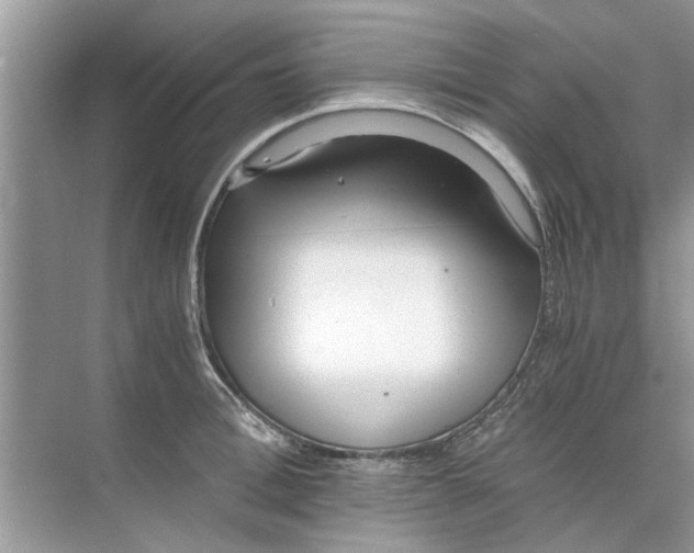 X0000073840996200608311930