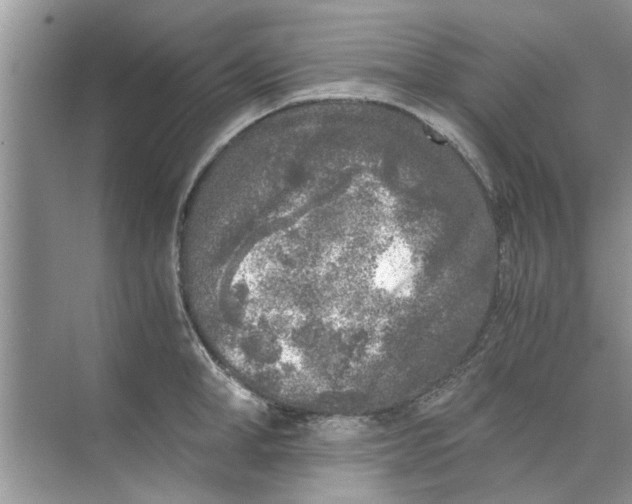 X0000073840998200608311930