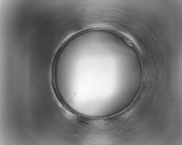 X0000073840999200608311930