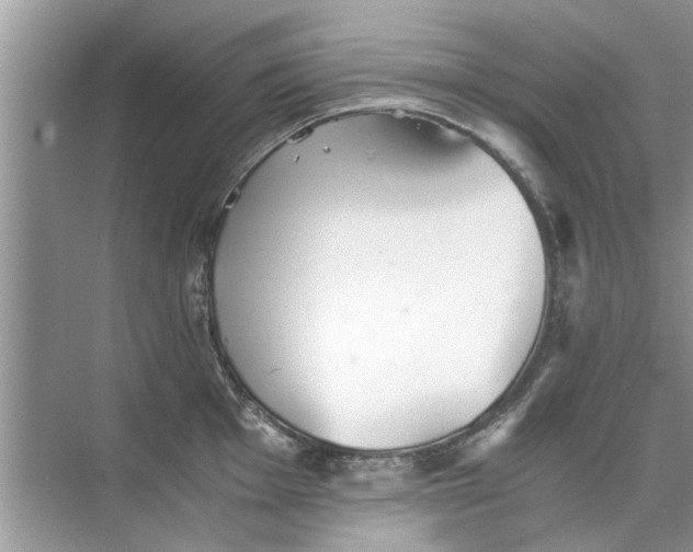 X0000073841001200608311930