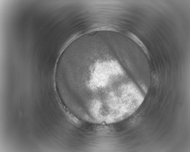 X0000073841002200608311930