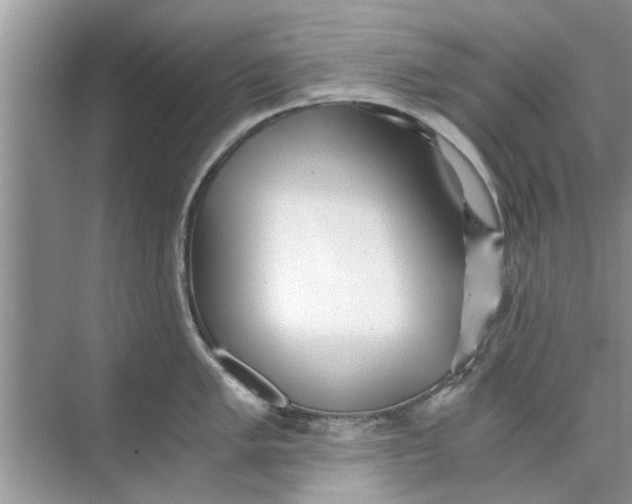 X0000073841005200608311930