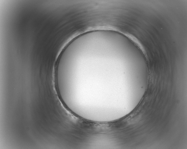 X0000073841006200608311930