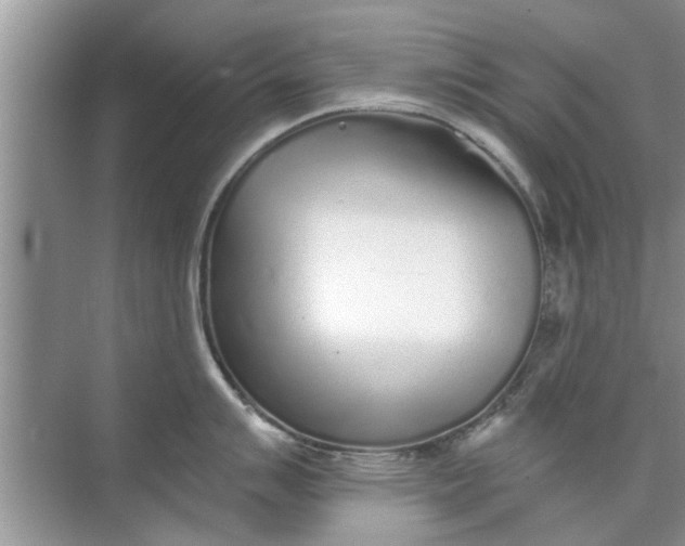 X0000073841007200608311930