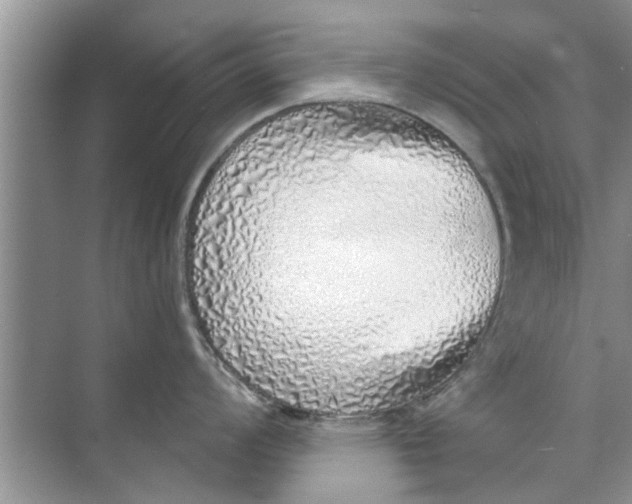 X0000073841008200608311930