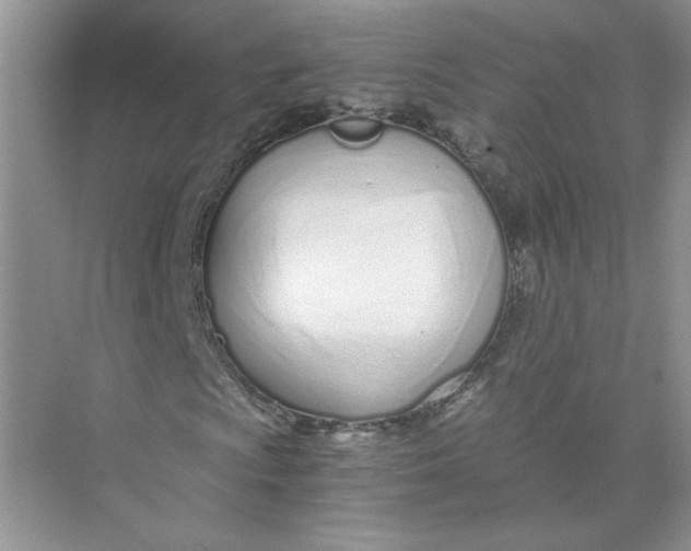 X0000073841009200608311929