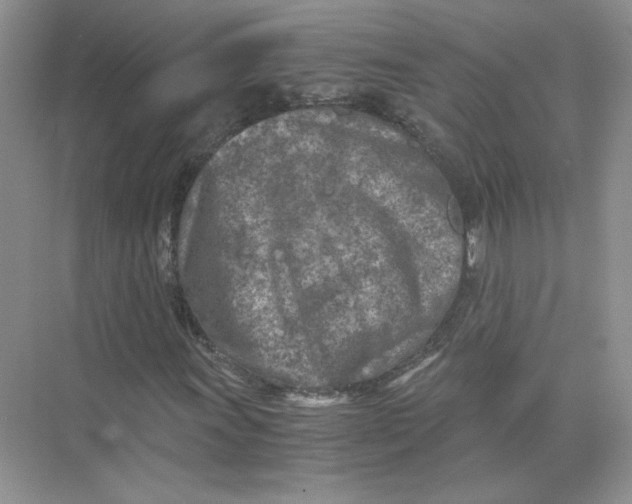 X0000073841011200608311929