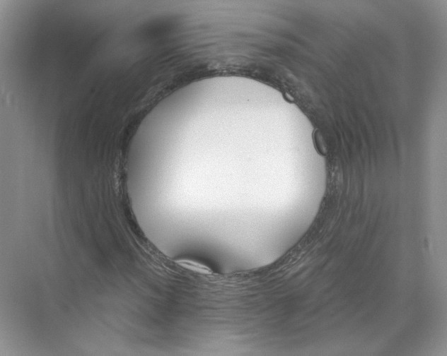 X0000073841012200608311929