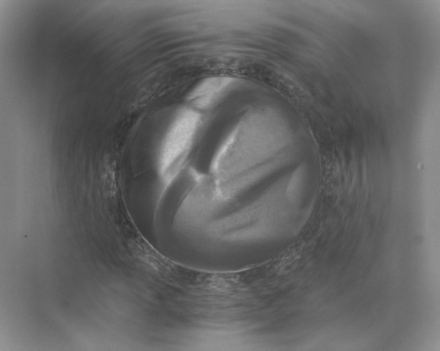 X0000073841013200608311929