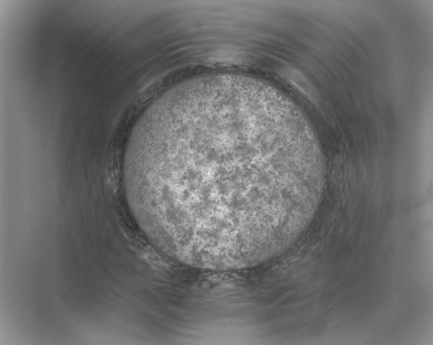 X0000073841015200608311929