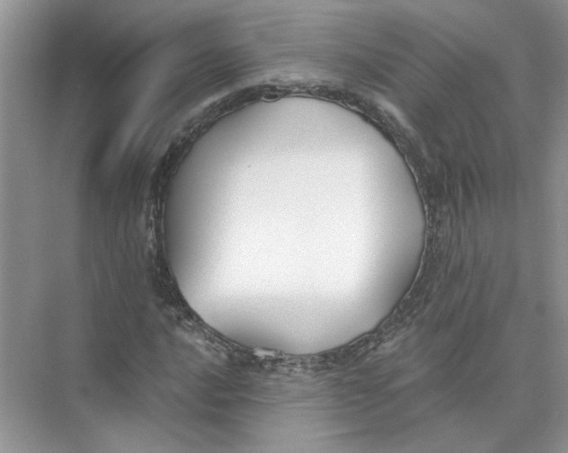 X0000073841016200608311929