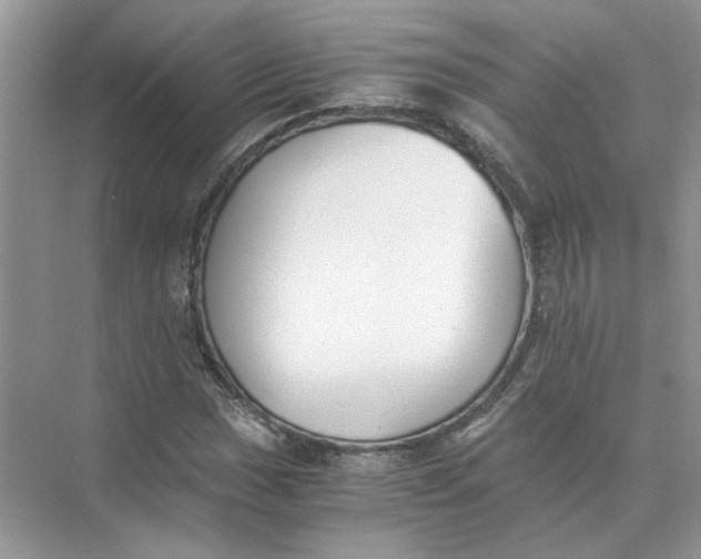 X0000073841017200608311929