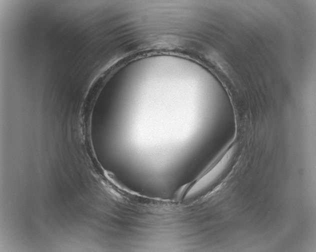 X0000073841018200608311929